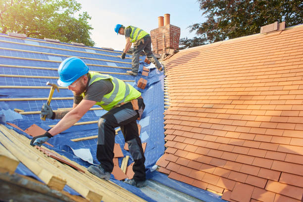 Best Gutter Installation and Repair  in Hannibal, MO